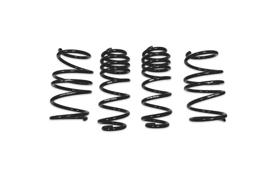 Dynamic+ Lowering Springs - 034-404-1020