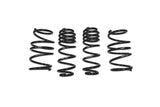 Dynamic+ Lowering Springs - 034-404-1020