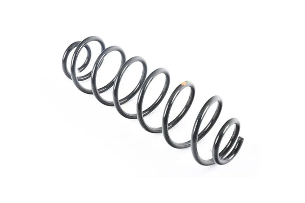 Rear Springs W/Solid Rear Axle Beam Genuine - 5C0511115AN – Strictly ...
