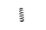 Rear Coil Spring Suplex - 03398