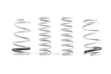 CTS Turbo Lowering Spring Set - CTS-LS-009