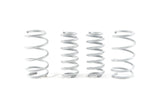 CTS Turbo Lowering Spring Set - CTS-LS-010