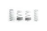 CTS Turbo Audi 8V S3/RS3 Lowering Springs - CTS-LS-011