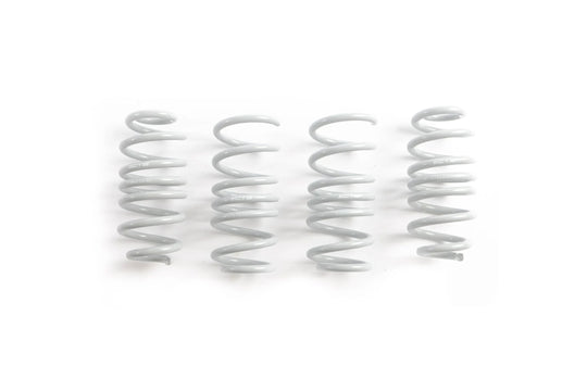 CTS Turbo Lowering Springs - CTS-LS-025