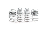 CTS Turbo B9/9.5 Audi SQ5 Lowering Springs - CTS-LS-027