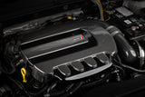 APR Engine Cover Carbon Fiber - MS100254