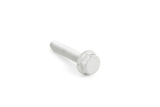 Engine Mount Hex Bolt Genuine - N10706901