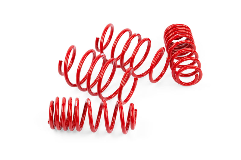 APR Roll-Control Lowering Springs - SUS00021