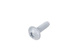 Oil Separator Bolt Genuine - N10725401