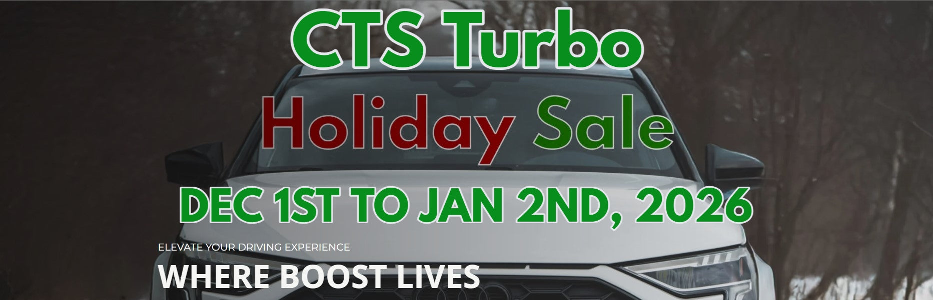 Strictly European Motors