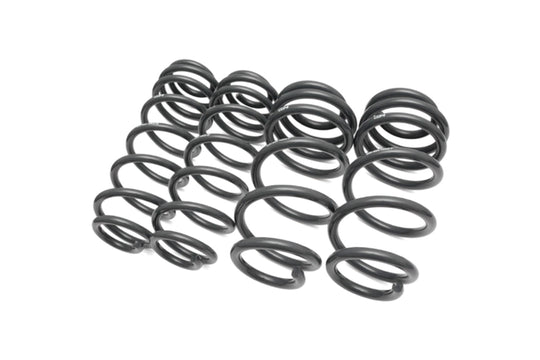 034 Motorsport Dynamic+ Performance Lowering Springs - 034-404-1002