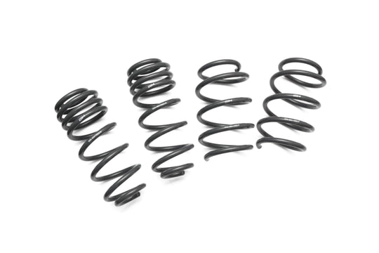 034 Motorsport Dynamic+ Performance Lowering Springs - 034-404-1003