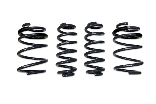034 Motorsport Dynamic+ Lowering Springs - 034-404-1012