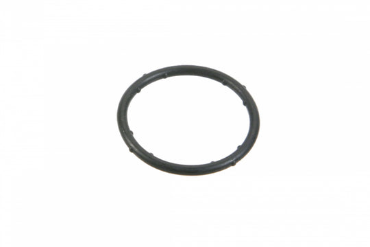 Coolant Flange Sealing O-Ring 037121687
