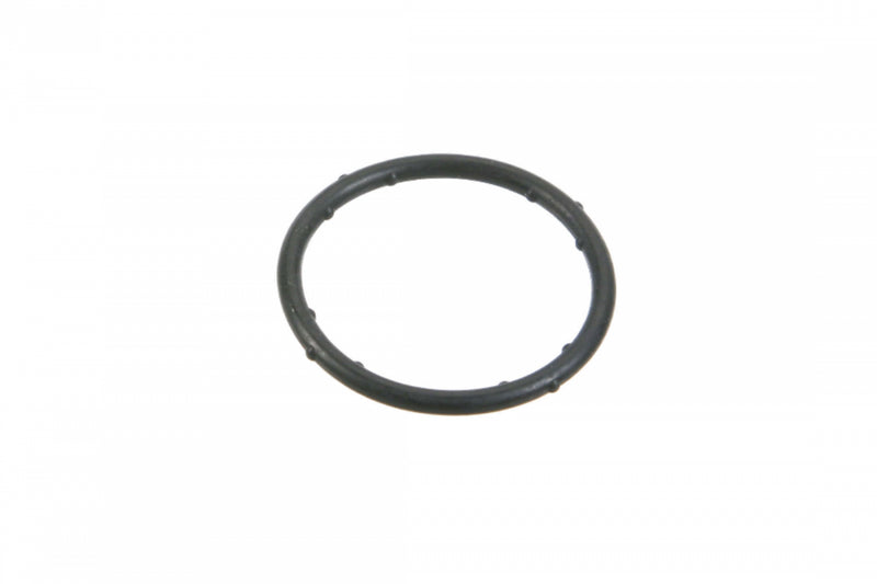 Coolant Flange Sealing O-Ring 037121687