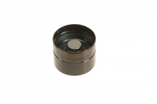 Hydraulic Valve Lifter 038109309C