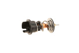 European car engine oil pressure relief valve with spring and plunger