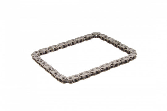 Camshaft Chain 058109229B
