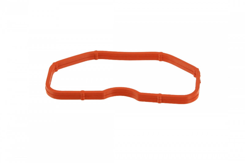 Intake Manifold Gasket Lower 079129717B