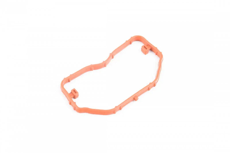 Intake Manifold Gasket - Left 079129717H