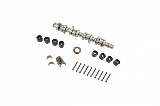 Cam Shaft Kit MK4 TDI BEW