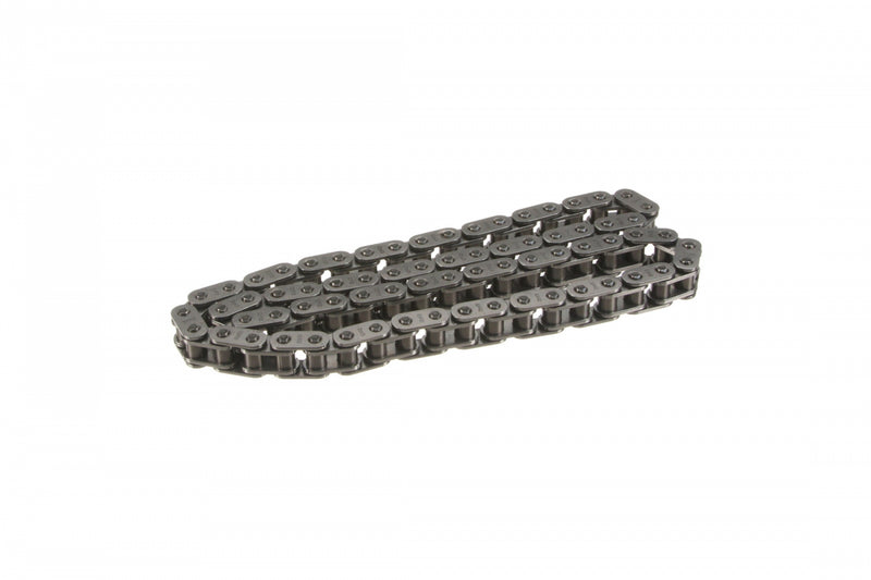 Timing Chain Lower