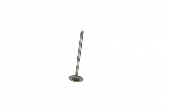 Intake Valve Glyco