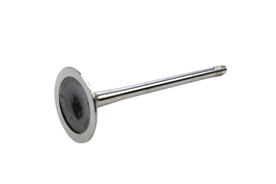 Intake Valve 06D109601M