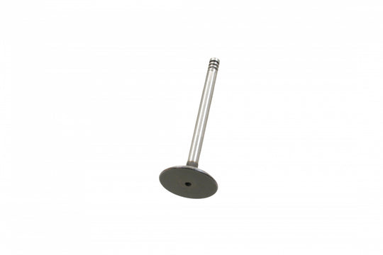 Intake Valve TDI ALH AE Parts - V94084