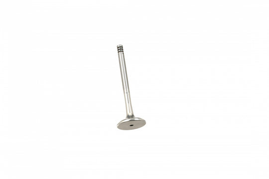 Exhaust Valve AE Parts - V94085