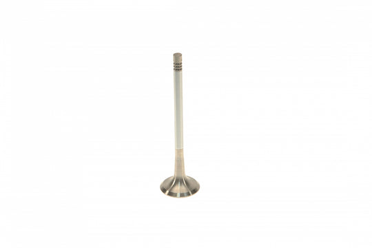 Exhaust Valve 06D109611H