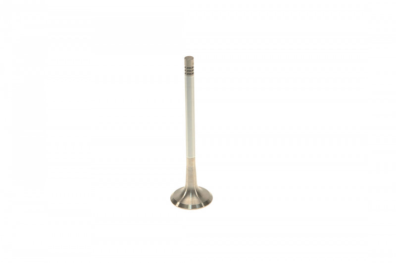 Exhaust Valve 06D109611H