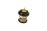 11462d0_f7b662d9-dbef-44a1-b73e-272bd7d9a4f5 - Strictly European Motors