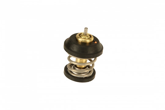 Inzi Thermostat Genuine - 06H121113B