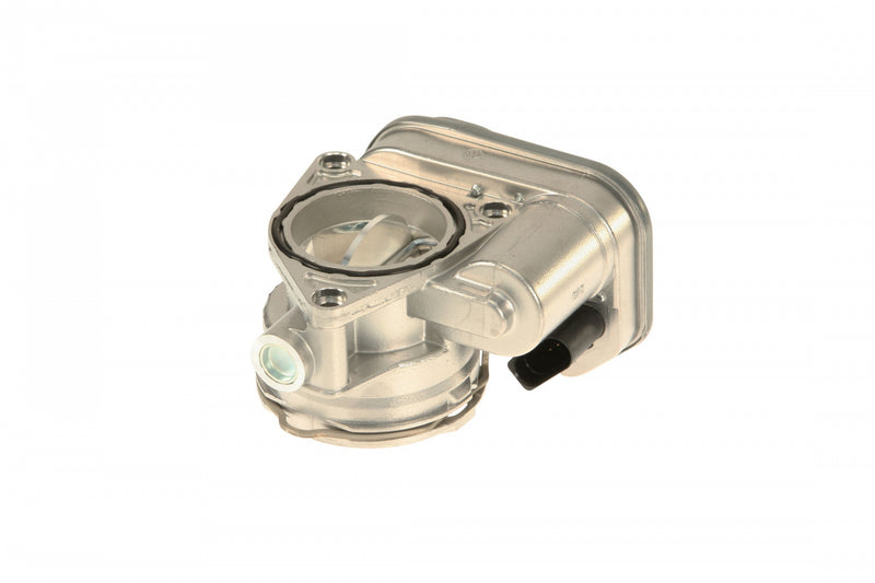 Throttle Body MK4 BEW TDI