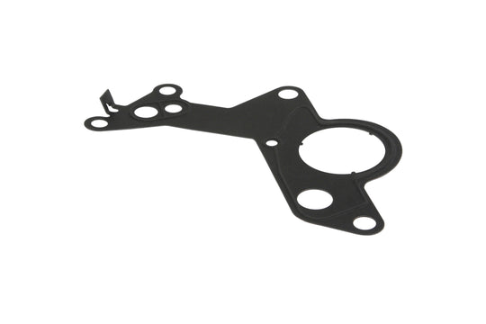 Vacuum Pump Gasket TDI  BEW/BRM/BHW