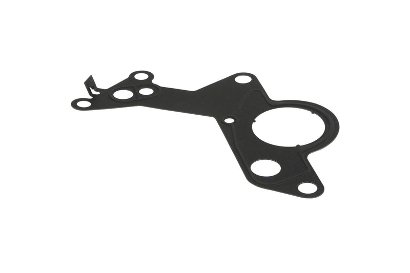 Vacuum Pump Gasket TDI  BEW/BRM/BHW