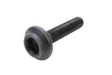 Black hex socket head bolt for German auto engine repair.