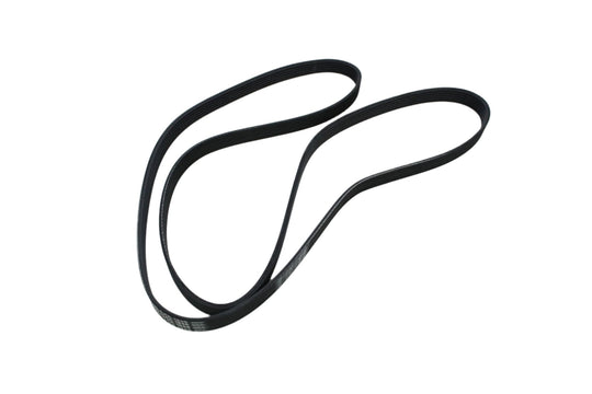 Accessory Drive Belt 6PK1856