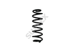 Rear Coil Spring Suplex 39650