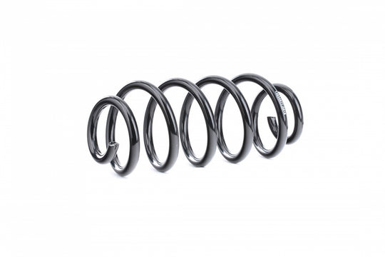 Front Coil Spring 8D0411105BM