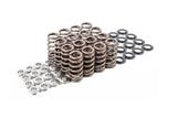 APR Valve Springs/Seats/Retainers - Set of 16 - MS100085