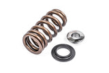 APR Valve Springs/Seats/Retainers - Set of 24 - MS100090