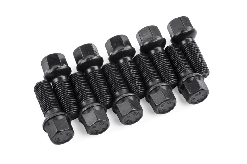 APR Lug Bolts (Set of 10) Ball Seat - 30mm