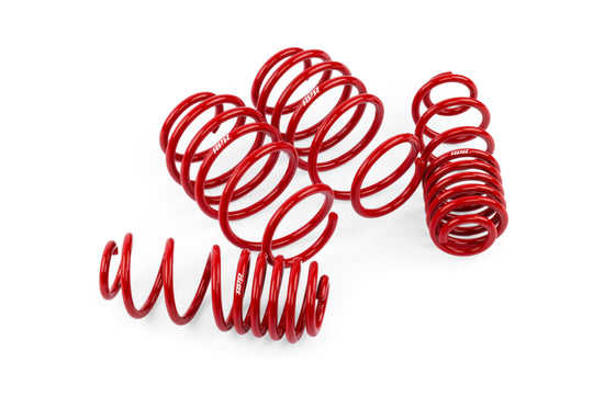 APR Roll-control Lowering Springs - SUS00014
