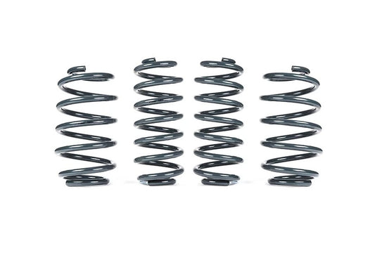 Racingline VWR31S000 Sport Spring Kit