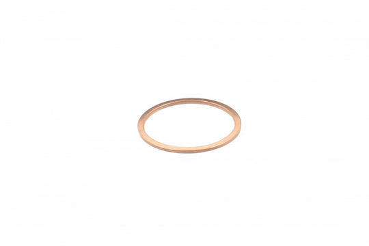 Oil Drain Plug Seal N0438541