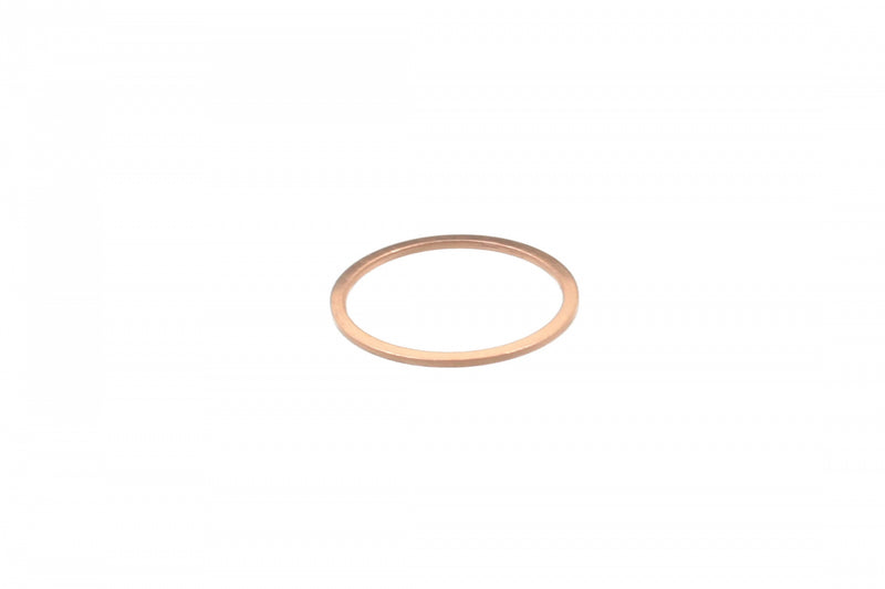 Oil Drain Plug Seal N0438541