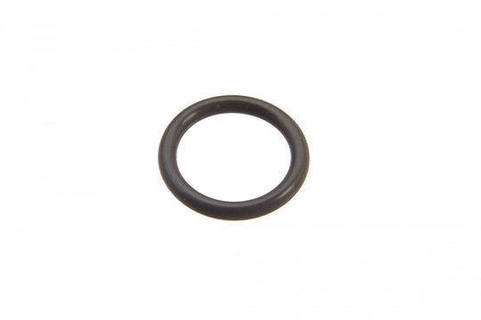 Dipstick O-Ring N90421101