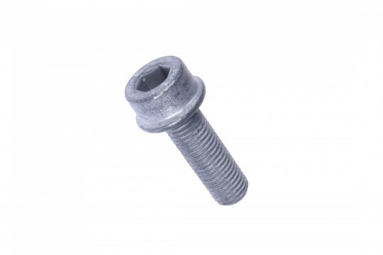 Caliper Carrier Bolt Genuine - N90740302